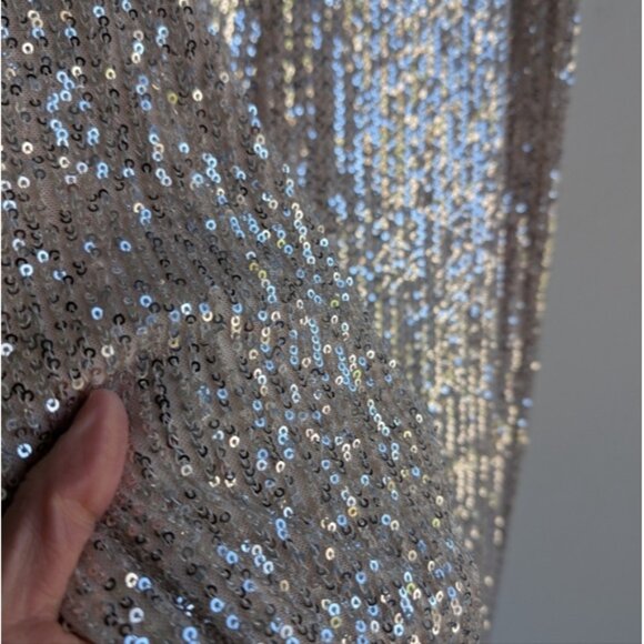 NWT Skies are Blue sequin silver sequin pants with nude base - Picture 8 of 10